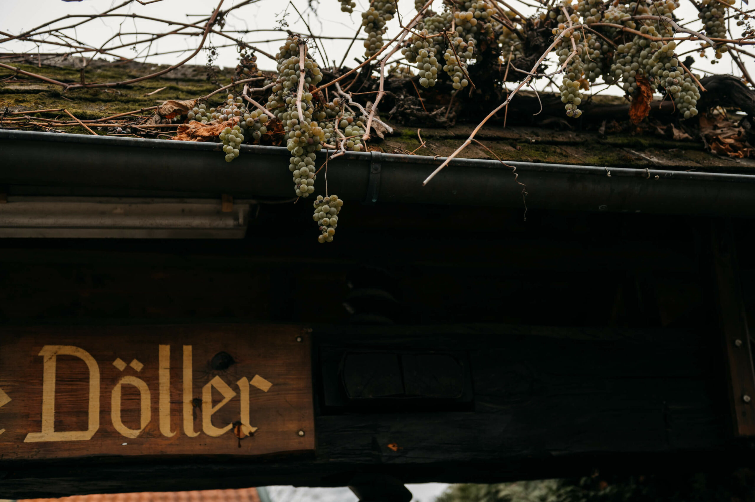 Das Dach einer Holzhütte mit Weinreben darauf und einem Holzschild mit Gelber Schrift auf dem "Döller" steht