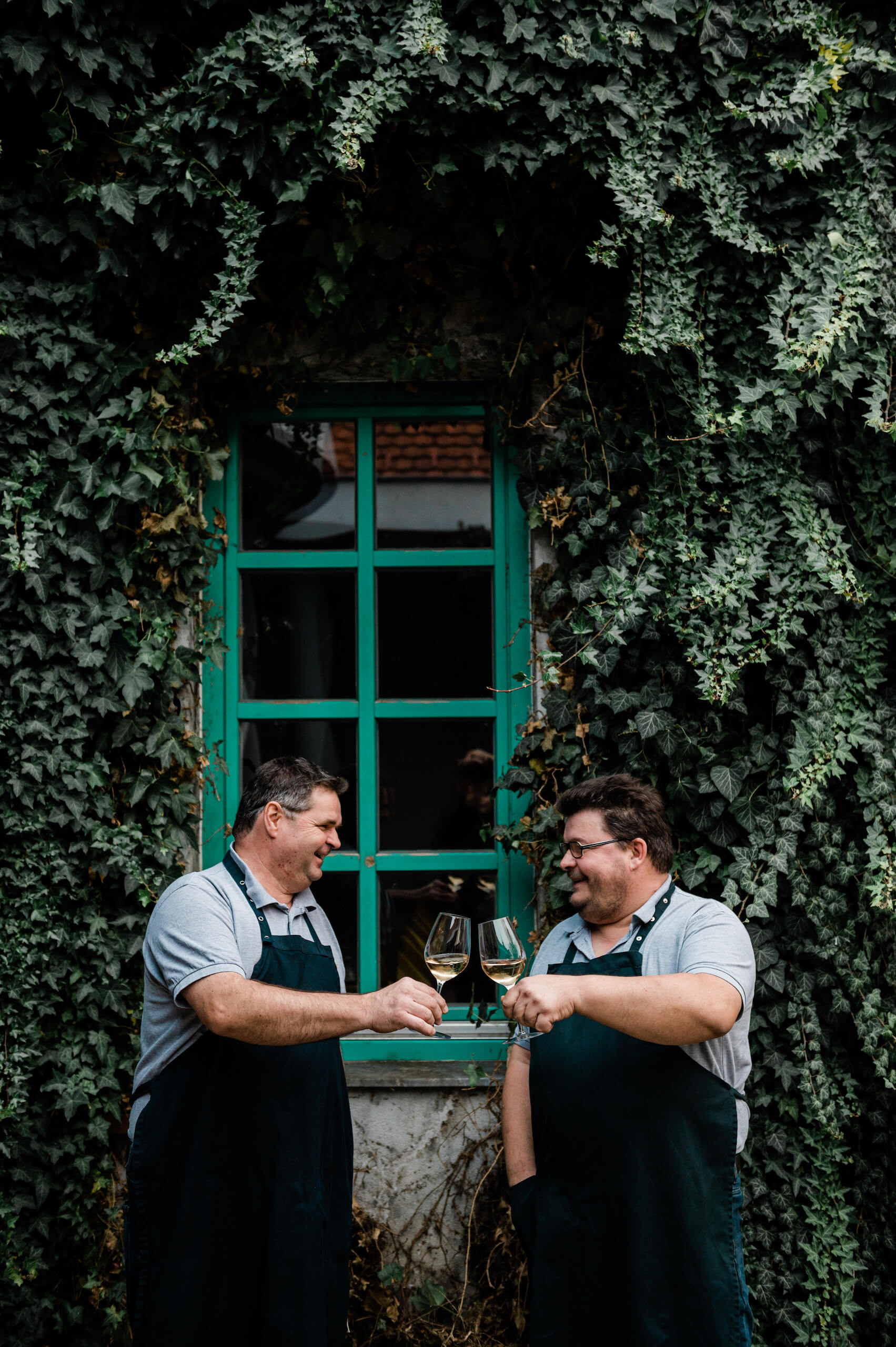 Zwei Männer stoßen mit Weißwein vor einem grünem Fenster mit Kletterpflanzen an