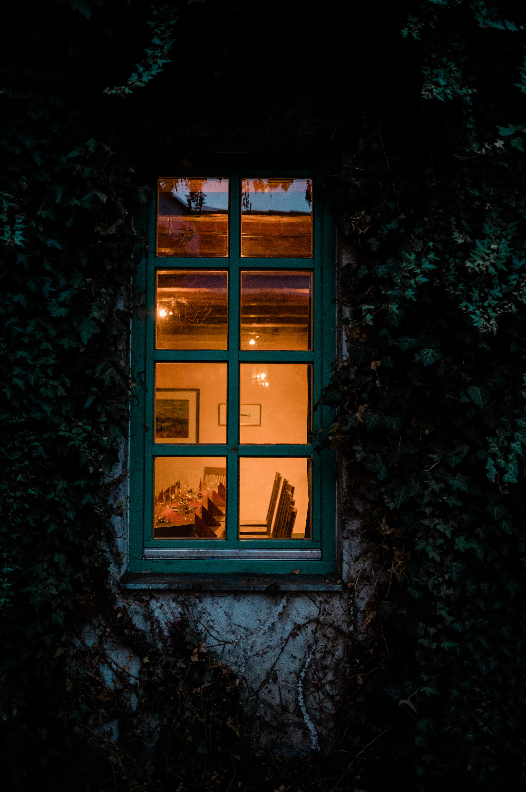 Grünes Fenster mit Kletterpflanzen herum